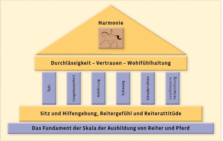 Skala Der Ausbildung Pferd Merksatz